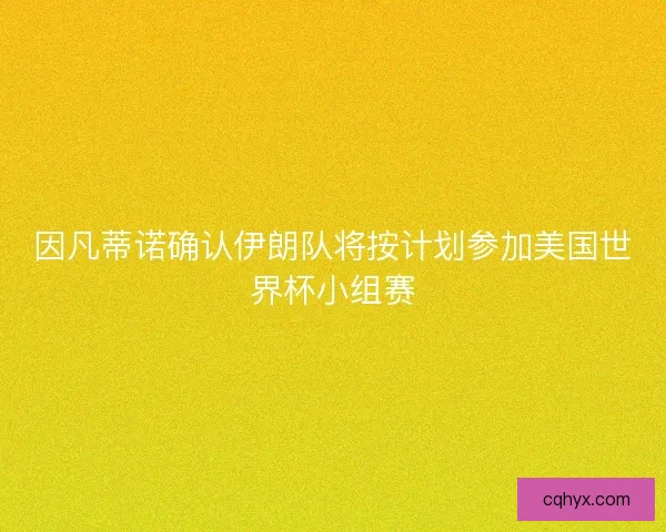因凡蒂诺确认伊朗队将按计划参加美国世界杯小组赛 因凡蒂诺确认伊朗队将按计划参加美国世界杯小组赛